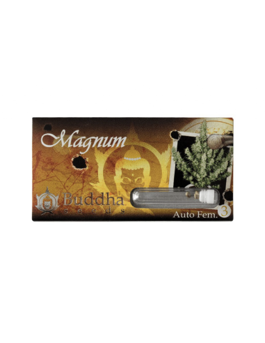 BUDDHA MAGNUM AUTO 3+1