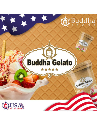 BUDDHA GELATO USA FEM 3+1